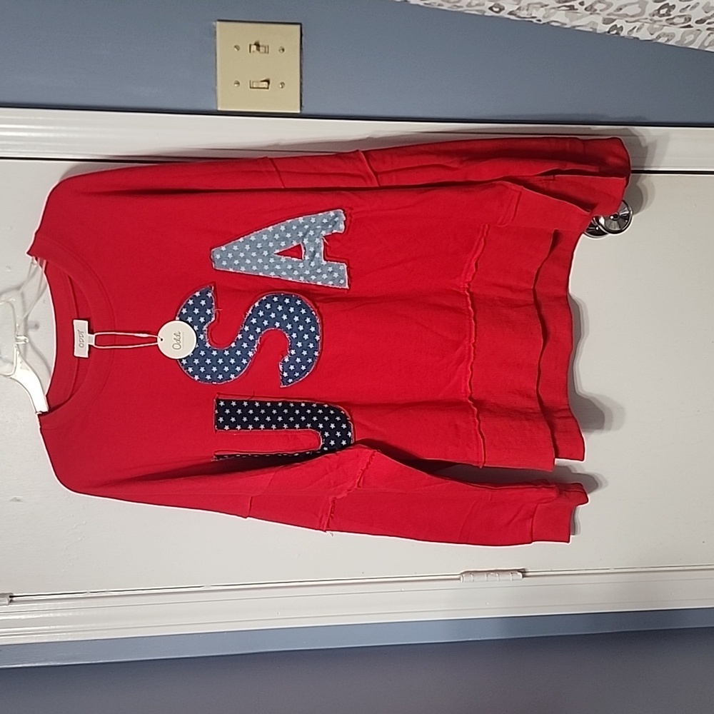 Oddy Red Washed USA Star Patch Sweatshirt